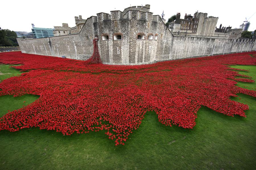 Paul Cummins blood swept lands and seas of red tower of london 2014 ceramic poppy