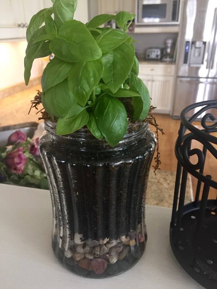 Photo May 01, 10 10 11 AM