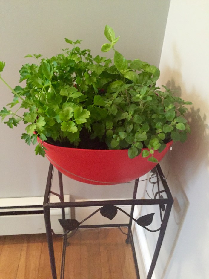 Photo May 01, 10 18 56 AM