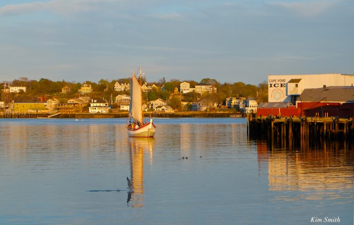 SCHOONER ARDELLE CAPE POND ICE COPYRIGHT KIM SMITH