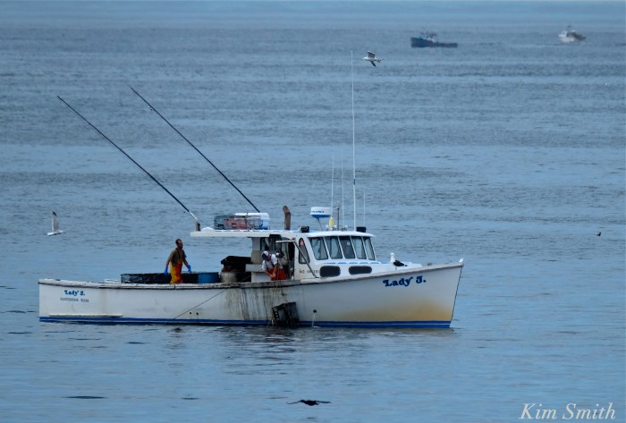 Beauport Hotel Gloucester Dining Review -8 copyright Kim Smith