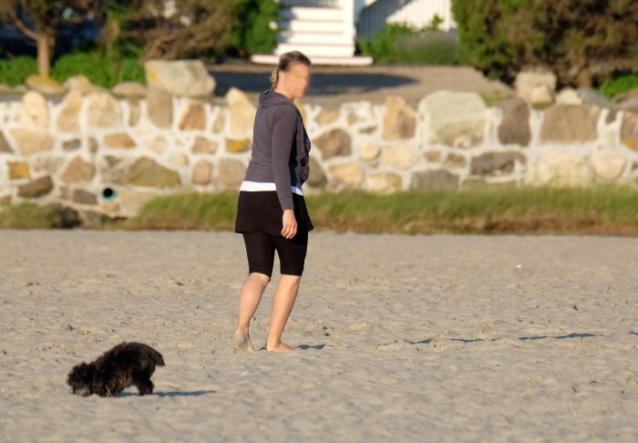 Good Harbor Beach No Dogs cooyright Kim Smith