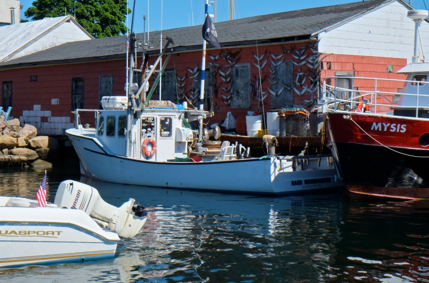 Harbor Tour with Mayor Romeo Theken -9 copyright Kim Smith