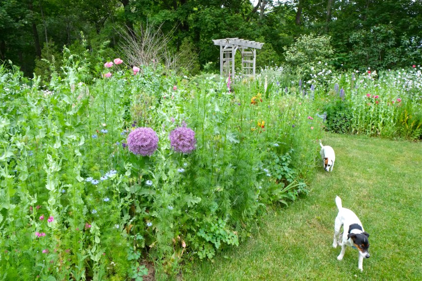 Jane's Garden copyright Kim Smith