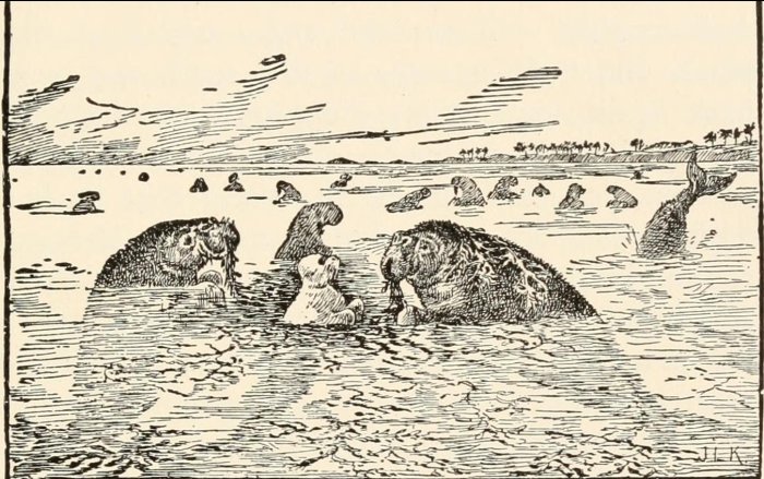 John Lockwood Kipling White Seal