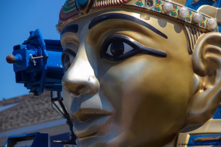 June 20, 2016 They have arrived