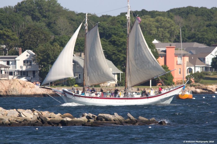 June 26, 2016 Ardelle