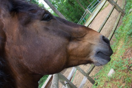 June 28, 2016 beautiful eyes