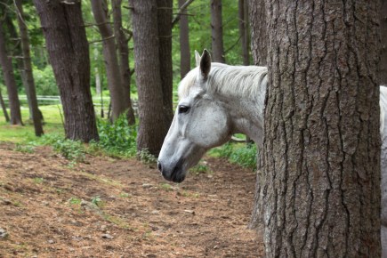 June 28, 2016 I can see you