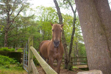 June 28, 2016 my friends