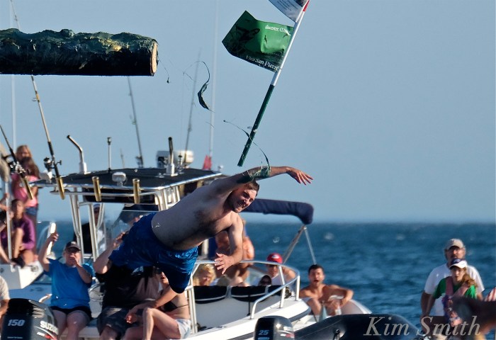 Kyle Barry Sunday Greasy Pole Champion 2016 -2 copyright Kim Smith