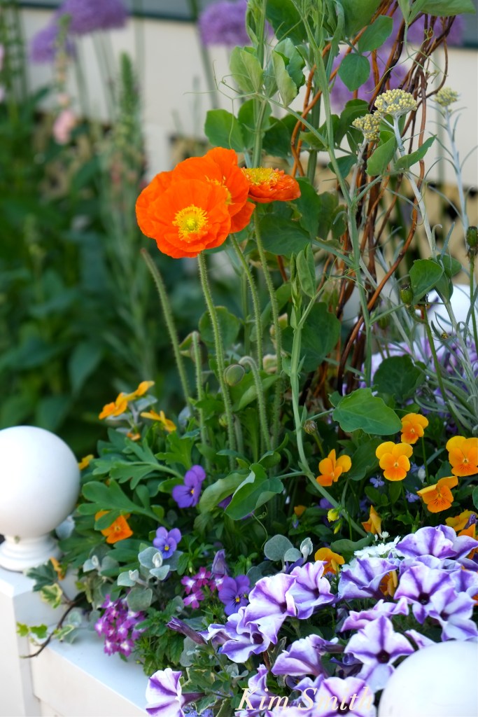 Mary Prentiss Inn copyright Kim Smith copy