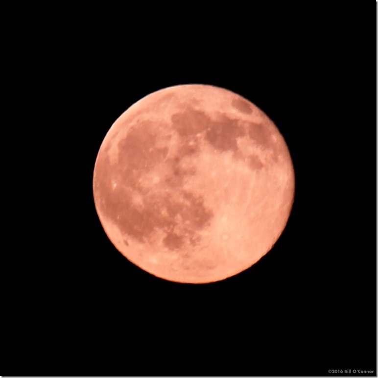 Strawberry_Moon_Square_2016