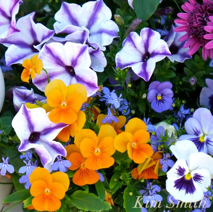 Triadic color copyright Kim Smith