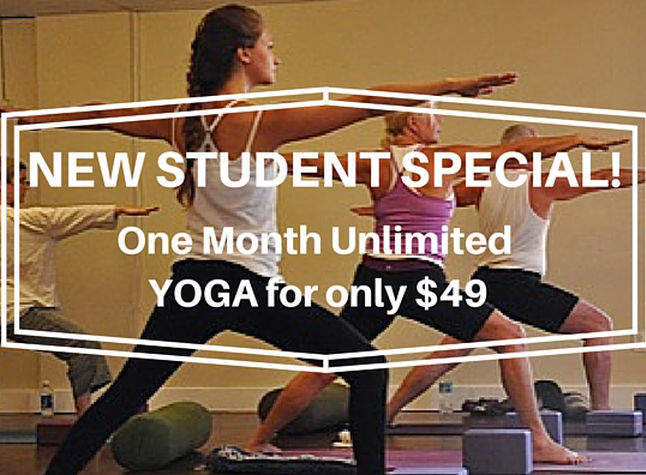 4fb849_fbbd0d79ad874e338a72cb1b1de8450d~mv2