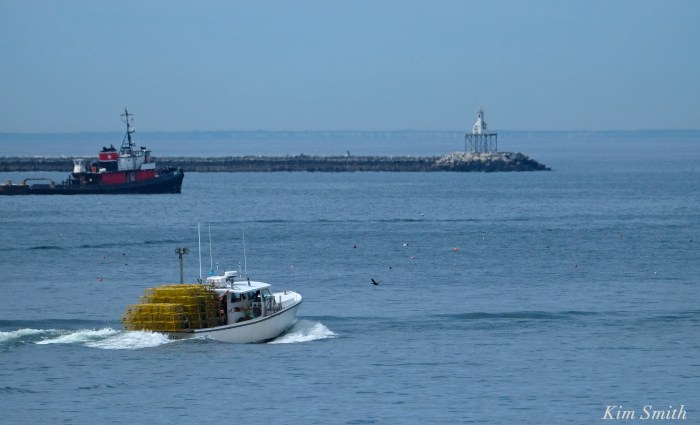 Beauport Hotel Gloucester Dining Review -7 copyright Kim Smith