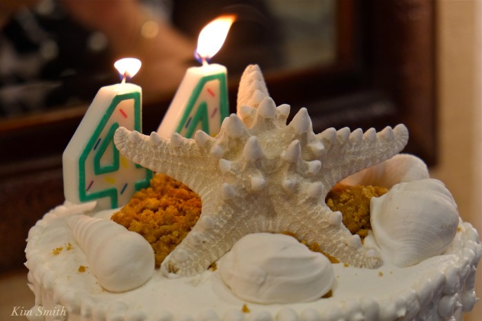 CAFFE SICILIA CAKE copyright Kim Smith