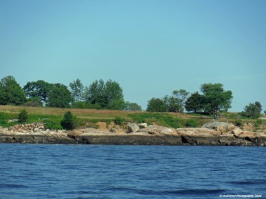 July 1, 2016 Ocean Lawn from the kayaks