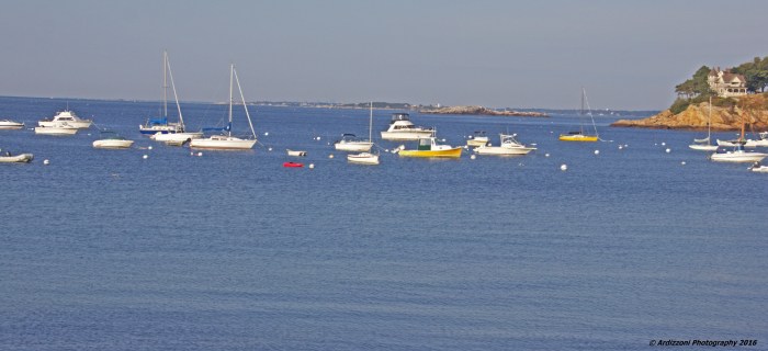 July 30, 2016 early morning Magnolia Harbor
