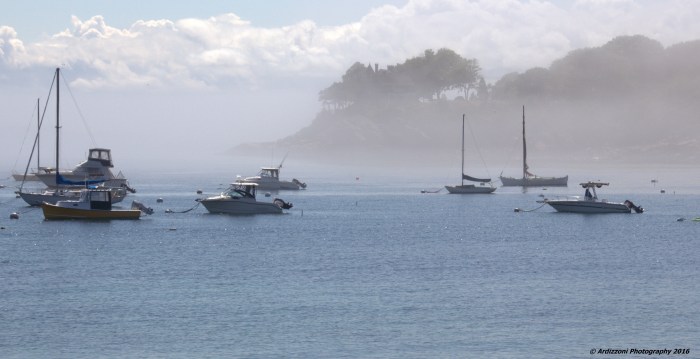 July 5, 2016 fog lifting in Magnolia Harbor