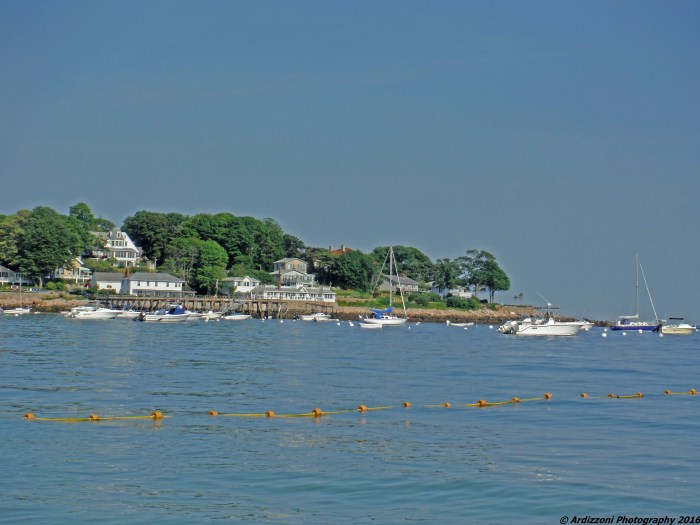 July 6, 2016 Beach days at Magnolia Harbor