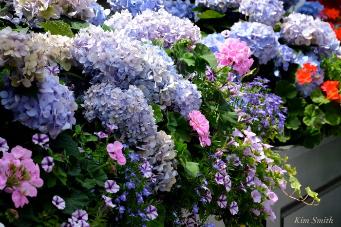 Kendall Hotel copyright Kim Smith