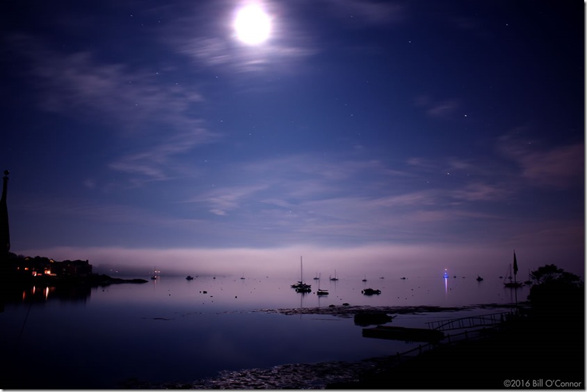 Midnight_Harbor