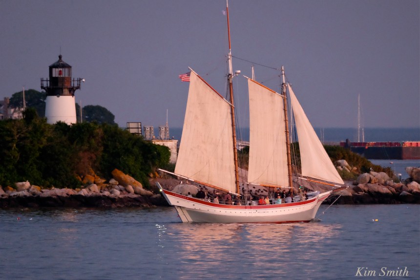 Pinky Ardelle and Ten Pound Island copyright Kim Smith