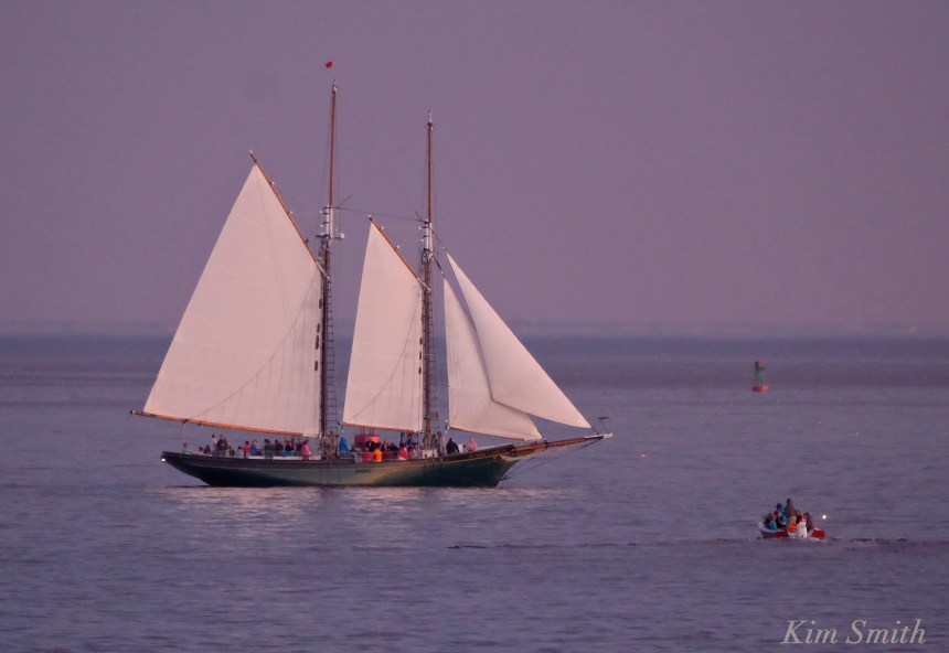 Schooner Lannon copyright Kim Smith