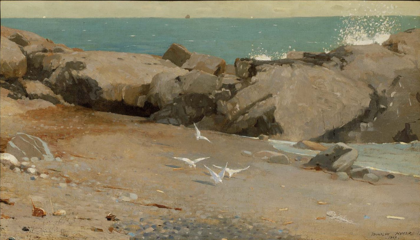 Winslow Homer Rocky Coast and Gulls (manchester)