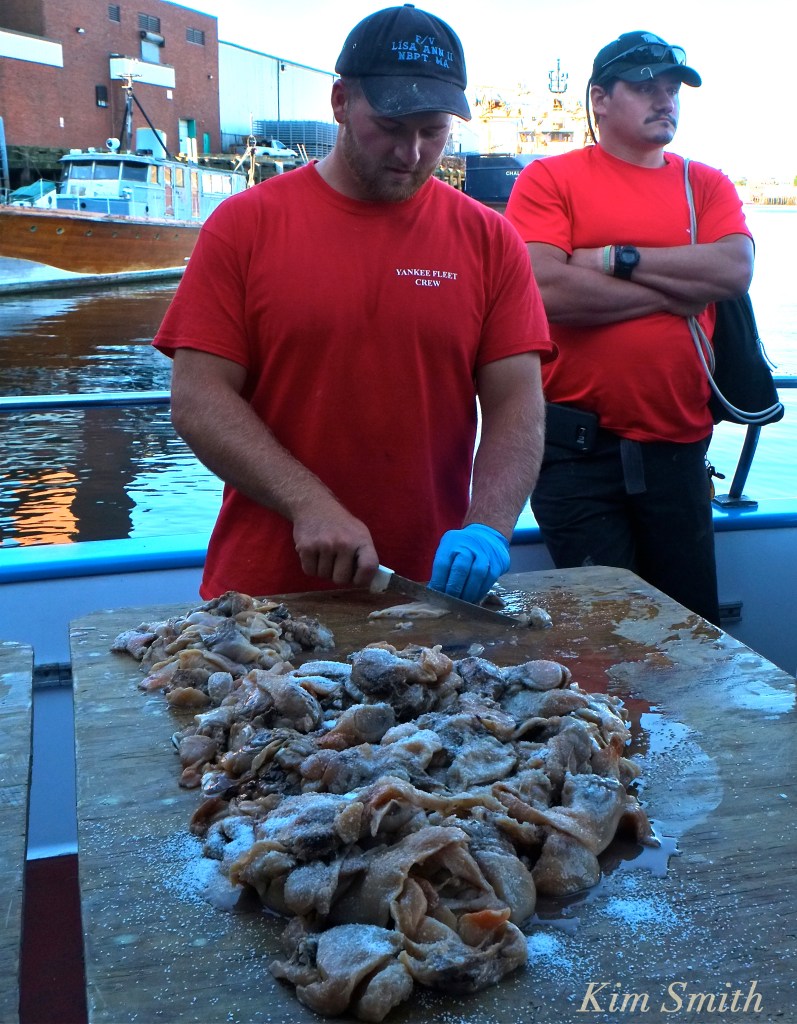 Wounded Warrior, Capt Dave, Nancy Yankee Freedom copyright Kim Smith