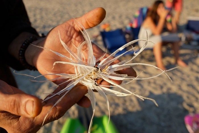 1- copyright Kim Smith