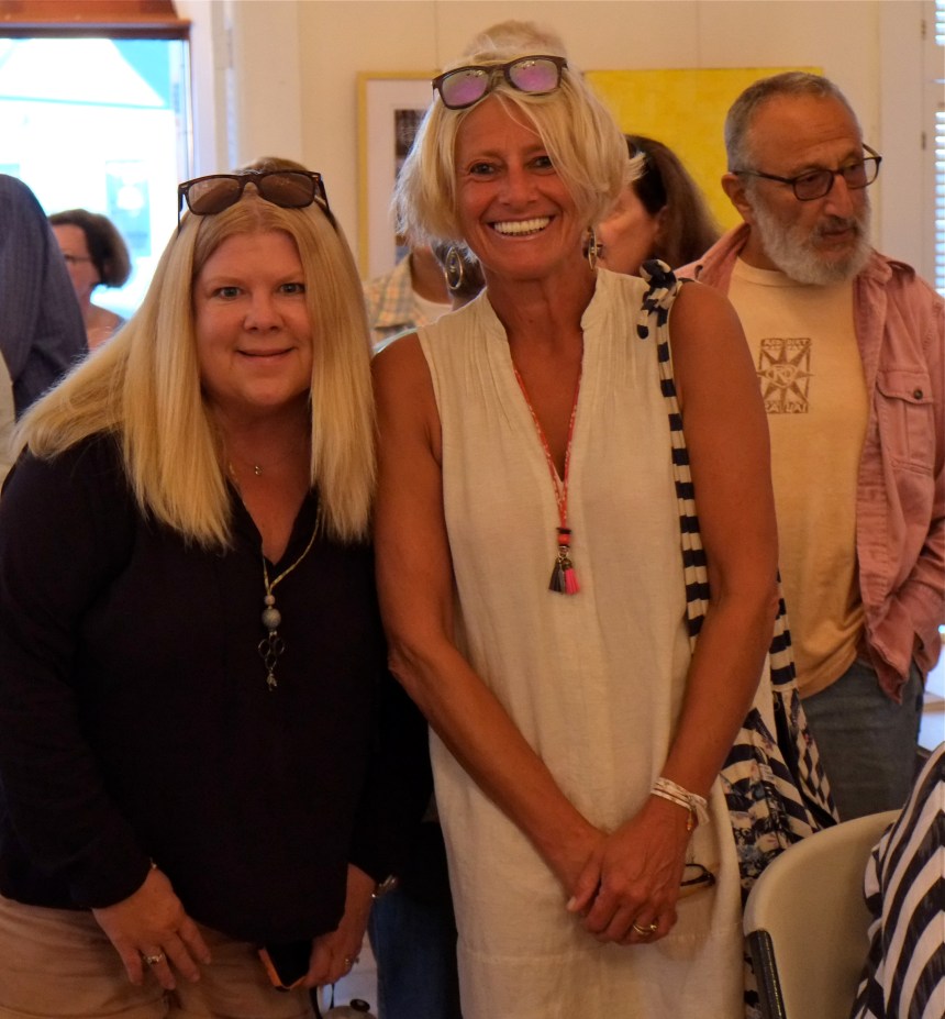 Anna Solomon Leaving Lucy Pear Book Launch RNCC -3 copyright Kim Smith