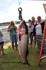 August 1, 2015 over 40 inches