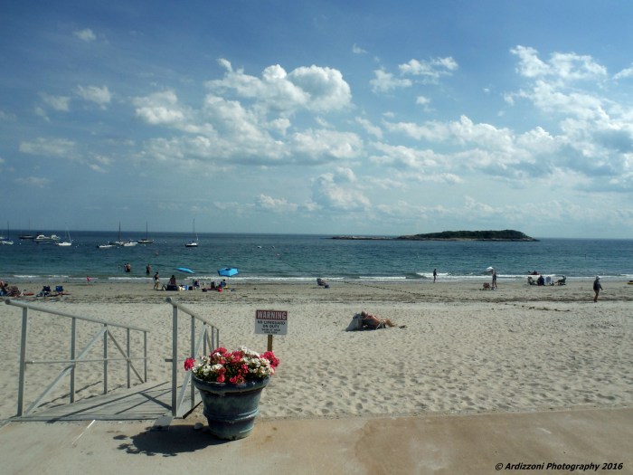 August 12, 2016 The happiest place on earth