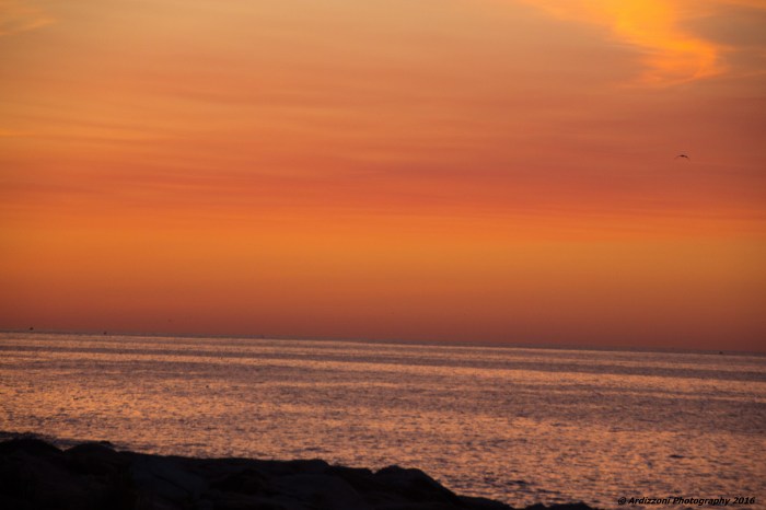 August 24, 2016 Good morning Shore Road