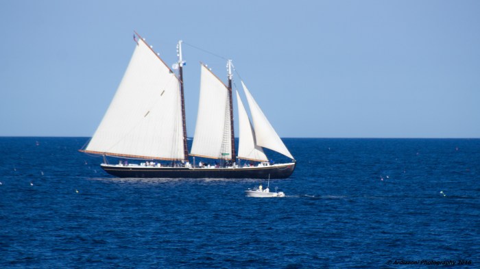 August 3, 2016 The Adventure sailing by Shore Road