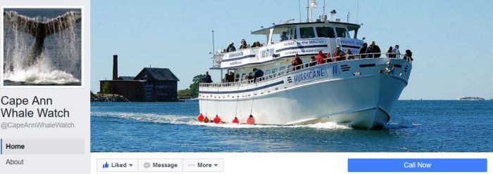 capeannwhalewatch