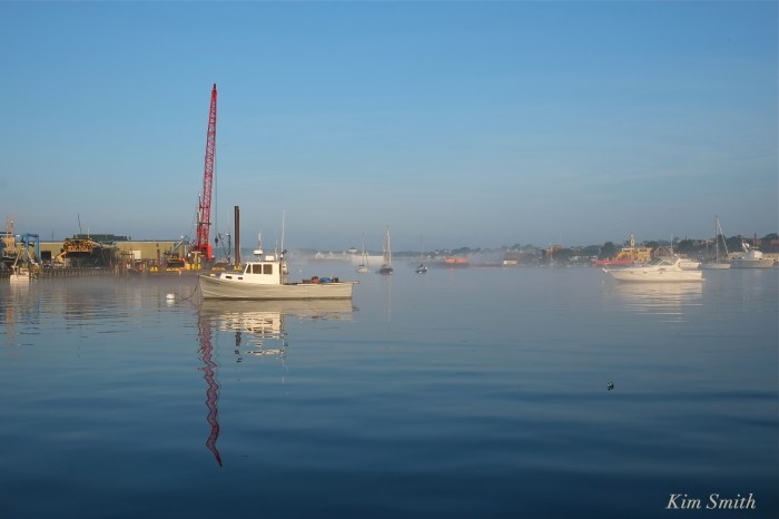 Gloucester foggy morning Smith's Cove Rocky Neck -3 copyright Kim Smith