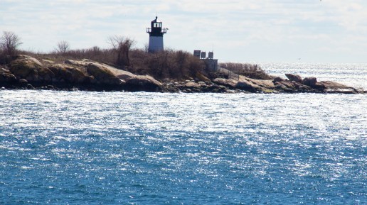 March 29, 2016 Ten Pound Island from Cape Pond Ice