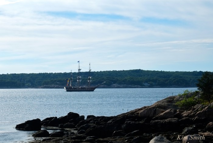 Oliver Hazard Perry RI Tall ship Gloucester harbor copyright Kim Smith