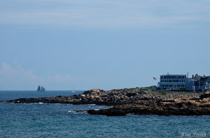Roseway Schooner Gloucester Backshore copyright Kim Smith