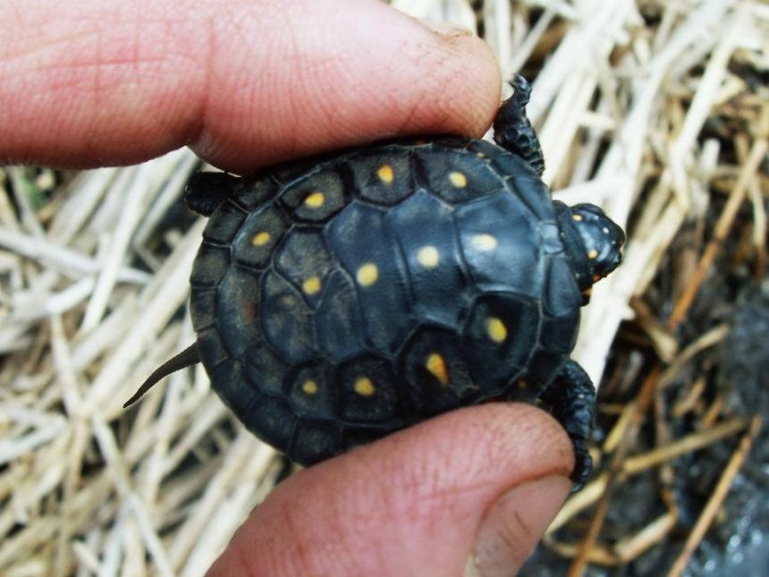 421683_345832828792005_1666970218_n