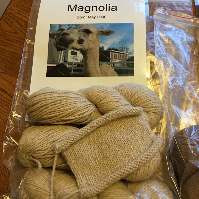 Alpaca yarn Marshalls -2 copyright Kim Smith