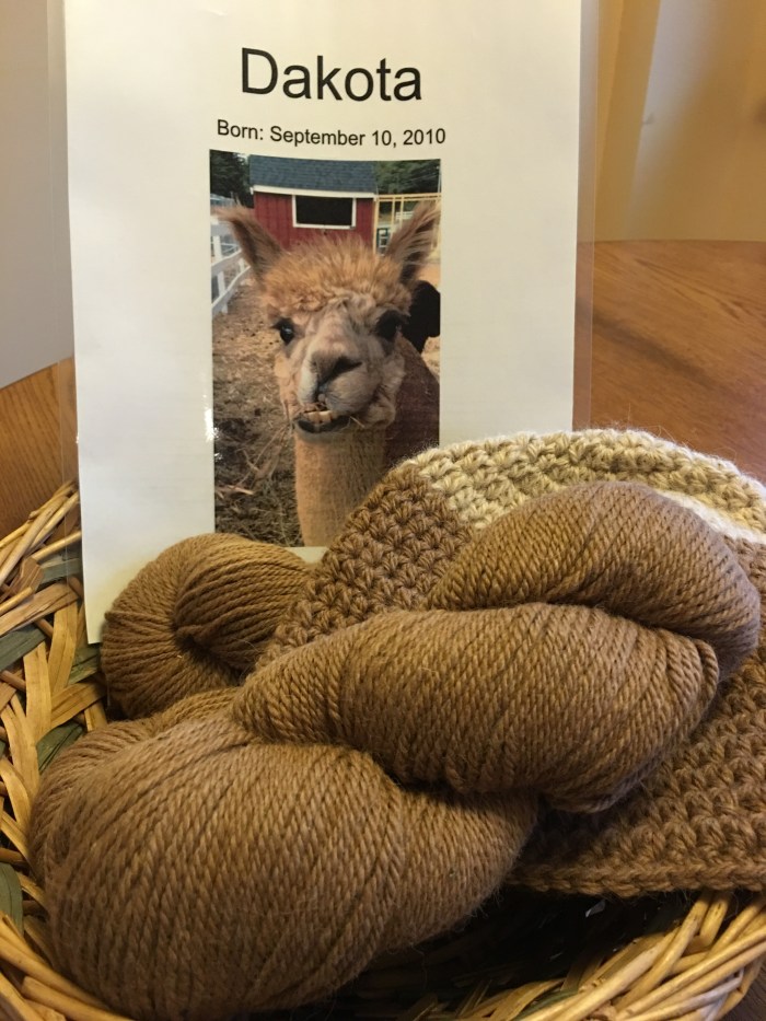 Alpaca yarn Marshalls copyright Kim Smith