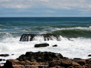 Andrews Point GMG 3.2015