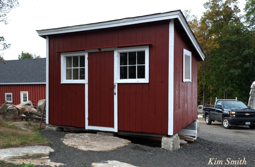 angies-alpaca-gloucester-marshalls-copyright-kim-smith