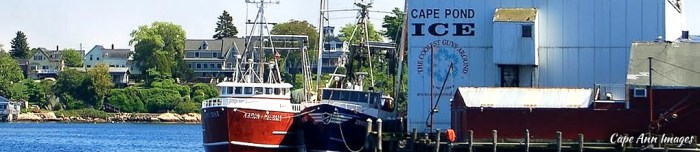 cape-pond-ice-logo