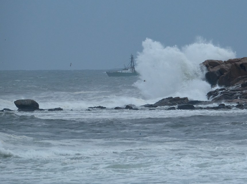 Fishing Boat Hermine Brace Rock Gloucester -1 copyright Kim Smith