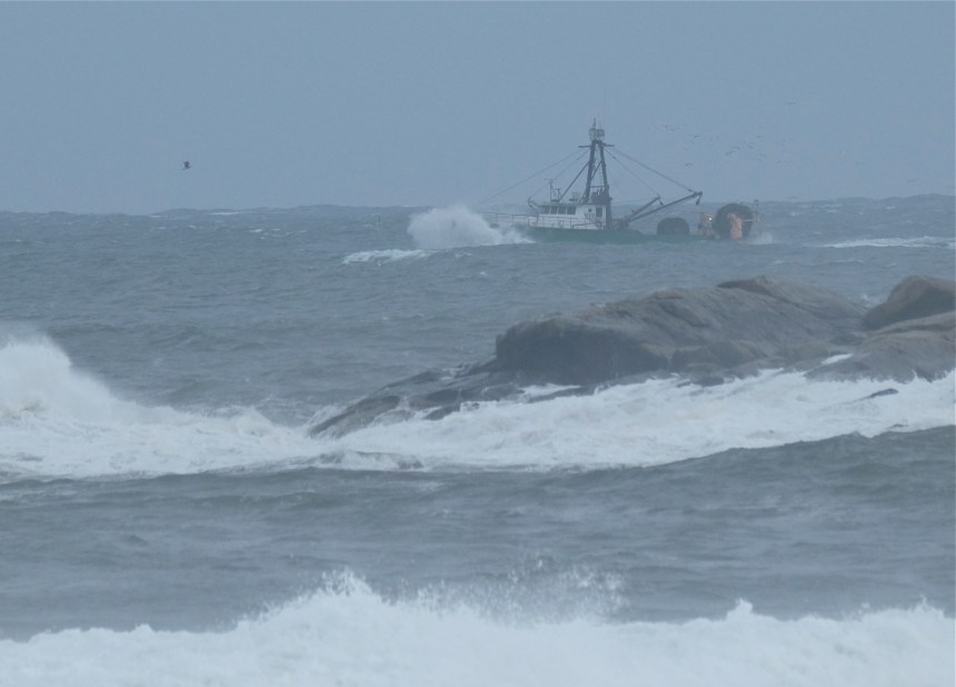 Fishing Boat Hermine Brace Rock Gloucester -2 copyright Kim Smith